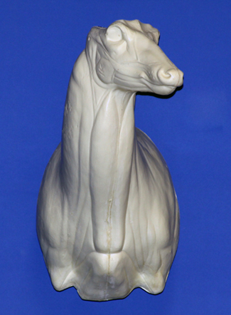 C164 Upright Buck Shoulder