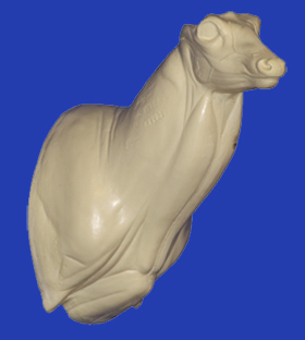 C166 Semi Upright - Buck Shoulder