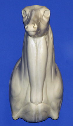 C402 Upright Buck shoulder