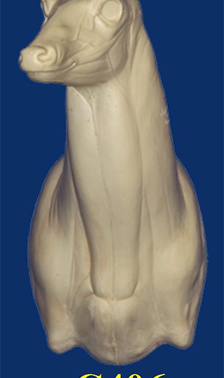 C406 Semi Upright - Buck Shoulder