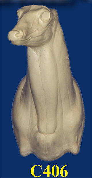 C406 Semi Upright - Buck Shoulder