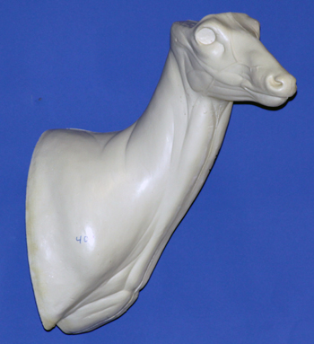 C409 Upright Buck Shoulder