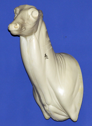C414 Upright Buck Shoulder