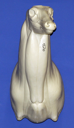 C420 Upright Buck Shoulder