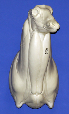 C435 Upright Buck Shoulder