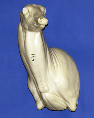 C441 Upright Offset Buck Shoulder