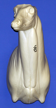 C442 Upright Buck Shoulder