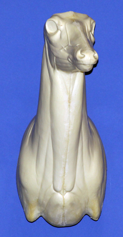 C449 Upright Buck Shoulder