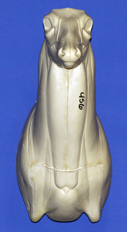 C456 Upright Buck Shoulder