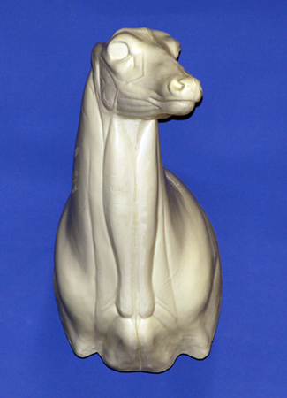 C501 Semi Upright Buck Shoulder