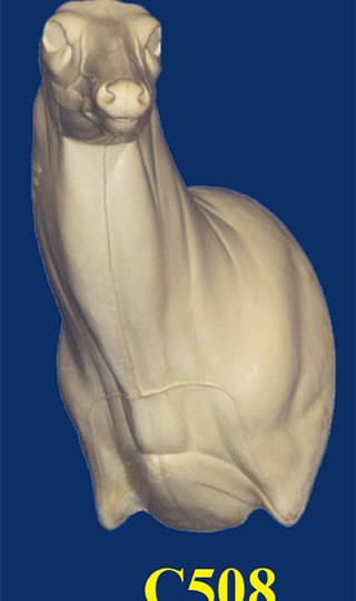 C508 Semi Upright - Buck Shoulder