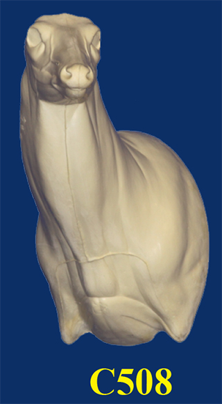 C508 Semi Upright - Buck Shoulder