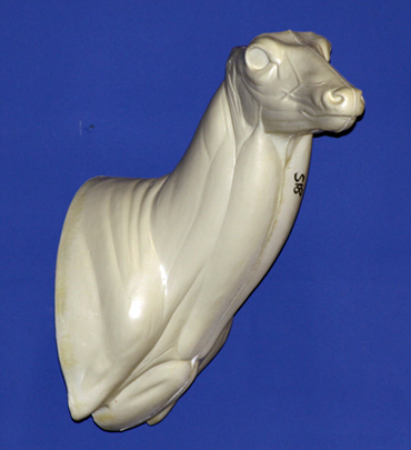 C518 Semi Upright Buck Shoulder