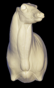C703 Semi-Upright Buck Shoulder