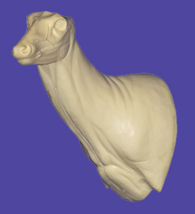 C716 Semi-Sneak Buck Shoulder