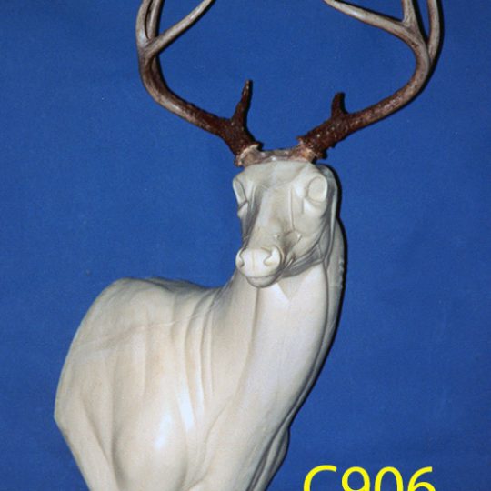 C906 Steppin' Out