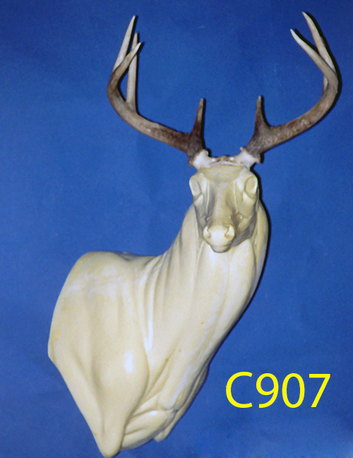 C907 Steppin' Out
