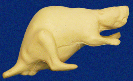 CBV2 Beaver - Feeding