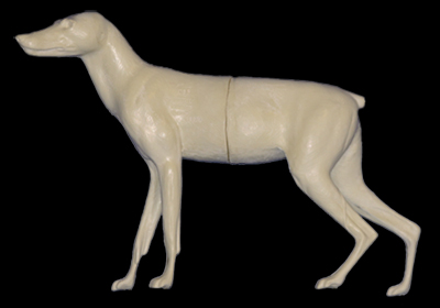 CC050 Coyote - Peter Knapton