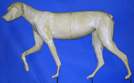 Coyote Standing Right Leg Up - Peter Knapton