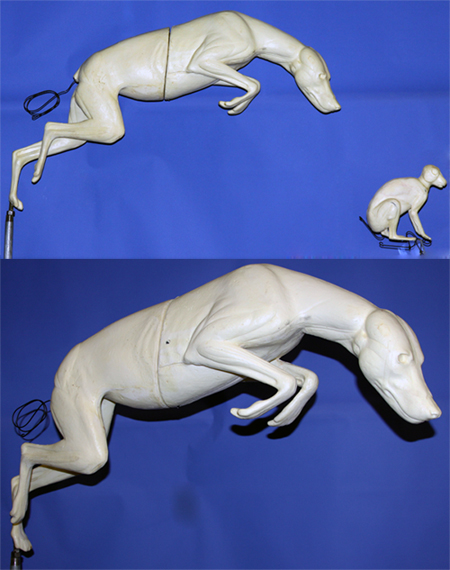 CC040 Coyote Leaping Peter Knapton