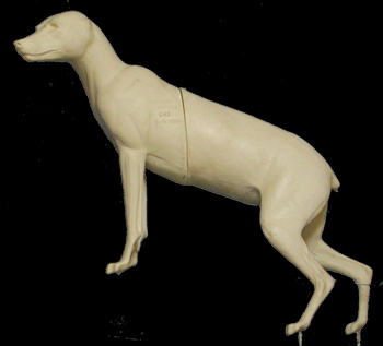 CC042 Coyote - Peter Knapton