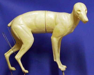 CC038 Coyote - Peter Knapton