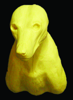 CCOS1 Coyote - Shoulder - Peter Knapton