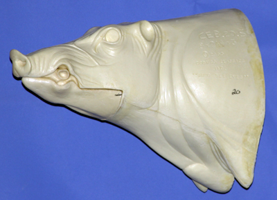 CEB20S CM Straight Closed Mouth