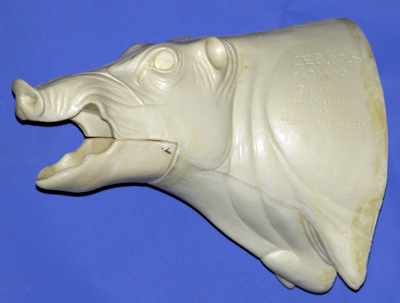 CEB20S Euro Boar - Open Mouth