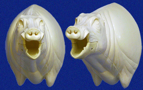 CEB22L Euro Boar - Open Mouth