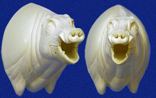 CEB20R Euro Boar - Open Mouth