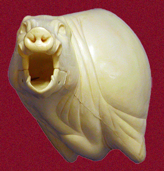 CEB24OL Offset - Open Mouth