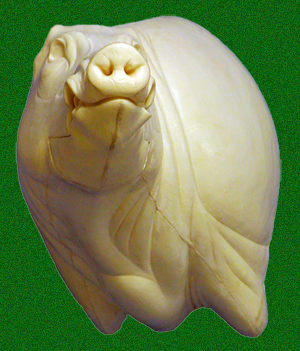 CEB24OL CM Offset - Closed Mouth
