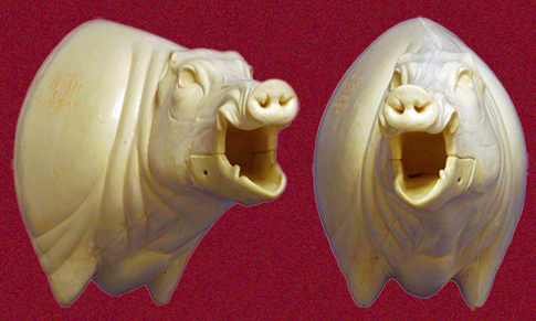 CEB24R Euro Boar - Open Mouth