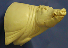CEB24R CM Euro Boar - Closed Mouth