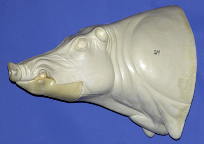 CEB24S CM Euro Boar - Closed Mouth