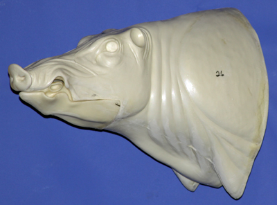 CEB26S CM Straight Closed Mouth
