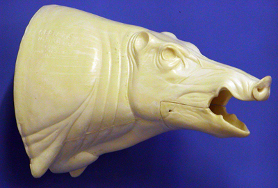 CEB27S Euro Boar - Open Mouth