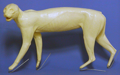 CFBC601 Bobcat Forms by Darin Flynn