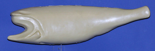 CFRFL510 Redfish by Gerald Flynn