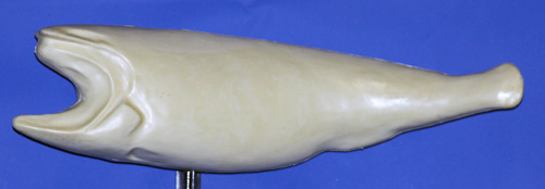 CFRFL566 Redfish by Gerald Flynn