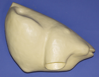 CFT107 Turkey Body - Standing Erect