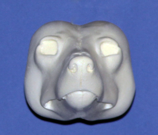 Coyote Medium Change Out Head