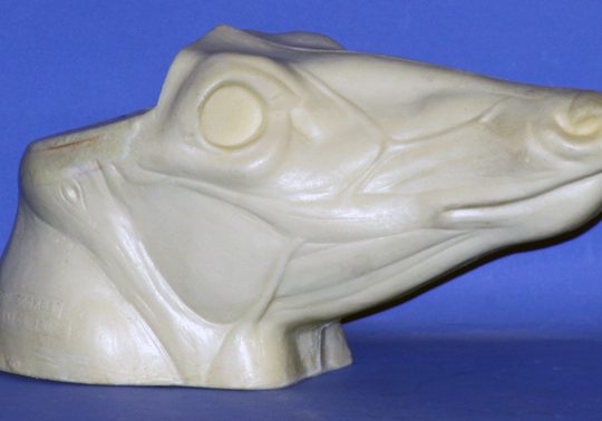Whitetail Change Out Head from C128