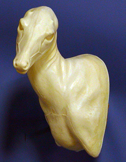 CJPBBS01 Button Buck Shoulder by Jim Pitts