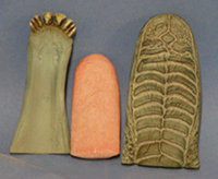 Whitetail Jaw Set for Form CPP102