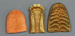 Classics Whitetail Jaw Set