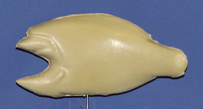 CL100 Crappie