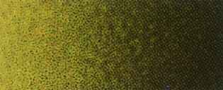 CLT453 Transparent Dark Green 8oz.